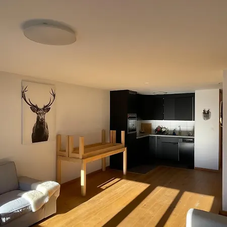 公寓 Bright In The Centre - Haute-nendaz *
