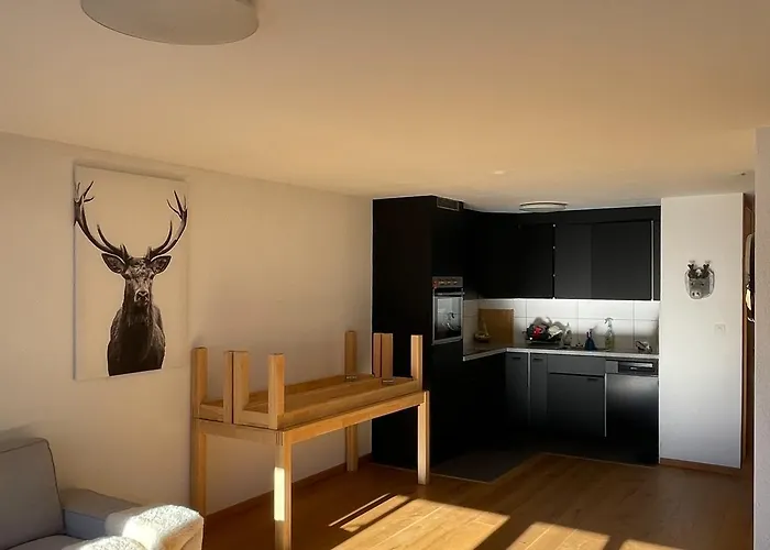 公寓 Bright In The Centre - Haute-nendaz *